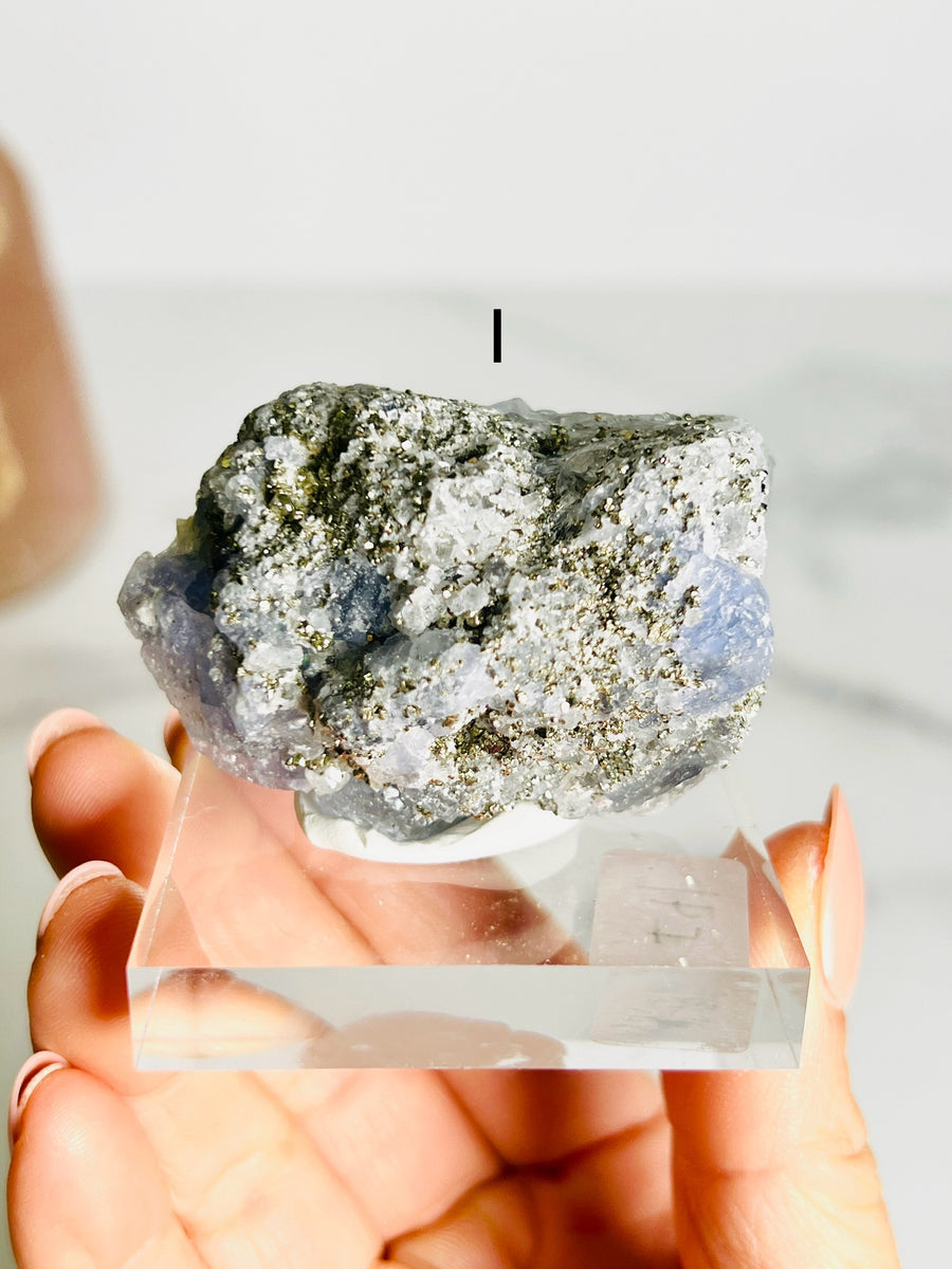 Blue Fluorite with Pyrite Cluster