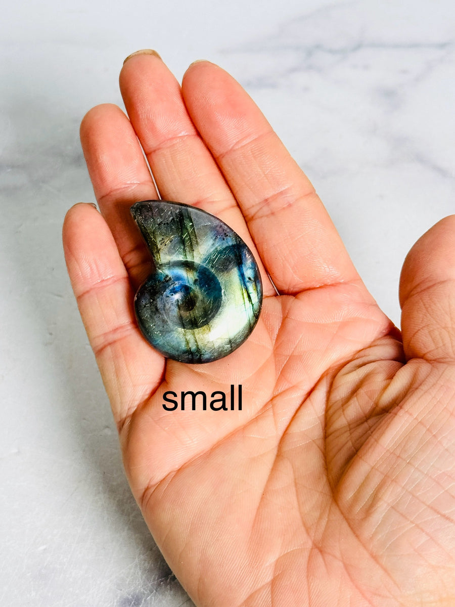 Labradorite Shell Carving