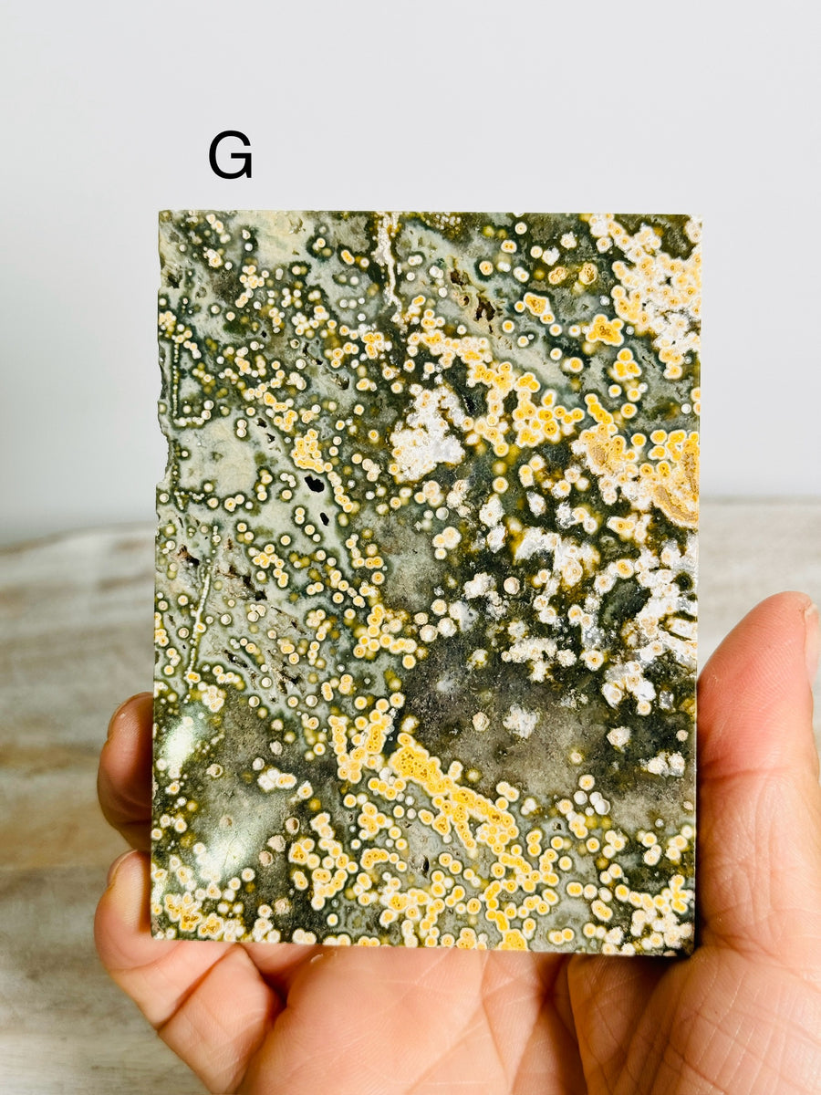 Ocean Jasper Slab