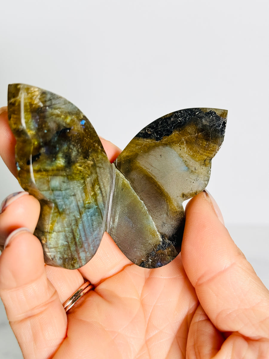 IMPERFECT Labradorite 3D Butterfly Carving