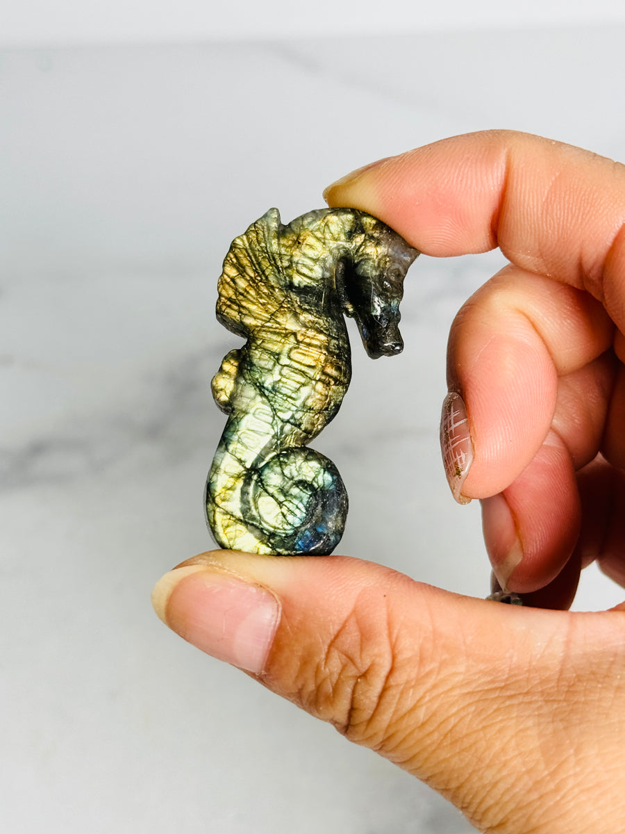 Labradorite Seahorse Carving