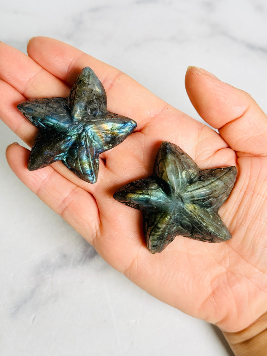 Labradorite Starfish Carving