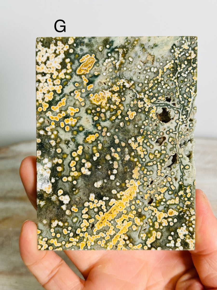 Ocean Jasper Slab