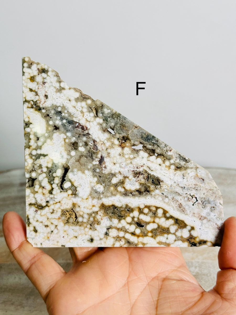 Ocean Jasper Slab