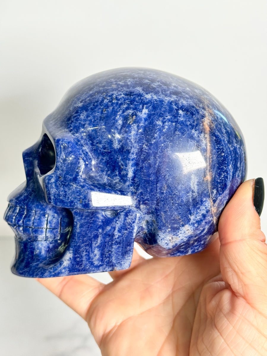 Sodalite Skull Carving