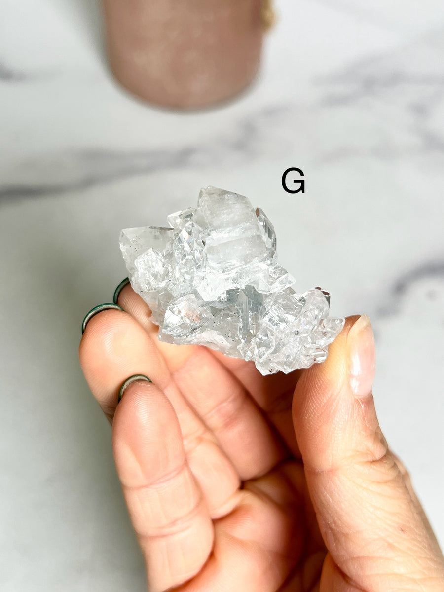 Small Diamond Apophyllite Cluster