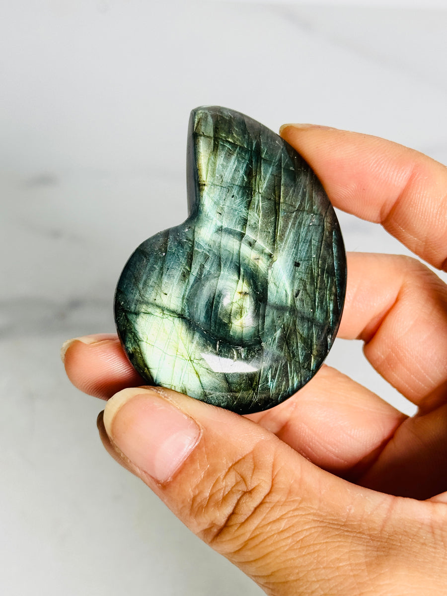 Labradorite Shell Carving