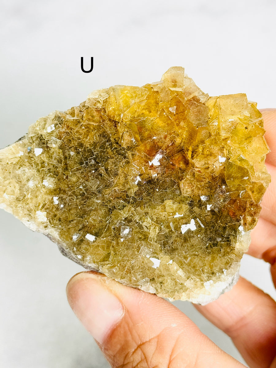 Moscona Fluorite