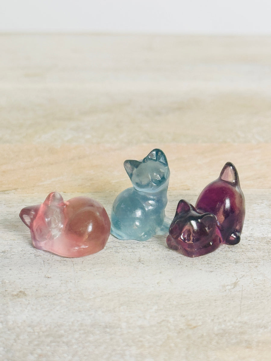 Mini Fluorite Kitten Carving Gift Set