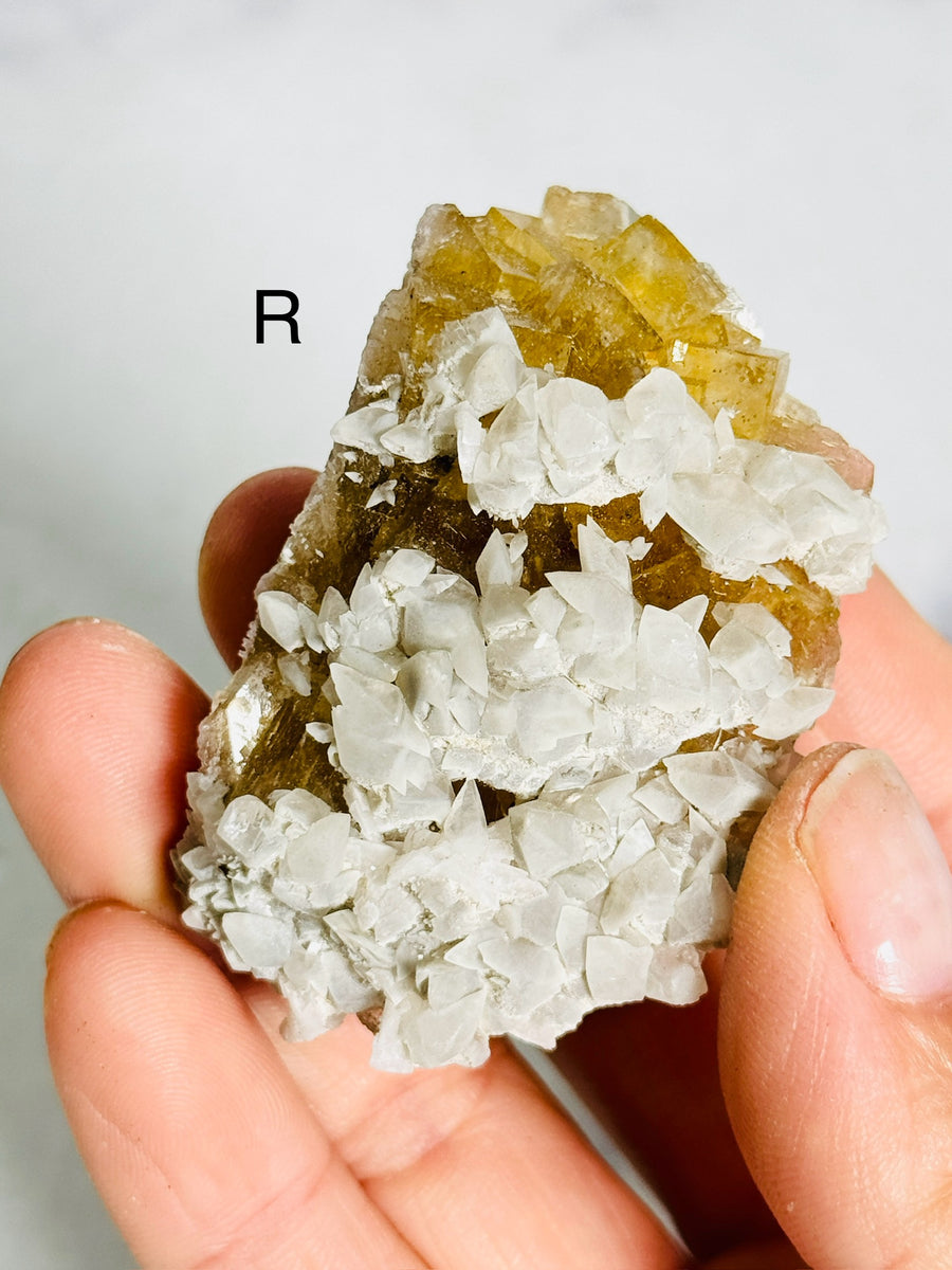 Moscona Fluorite