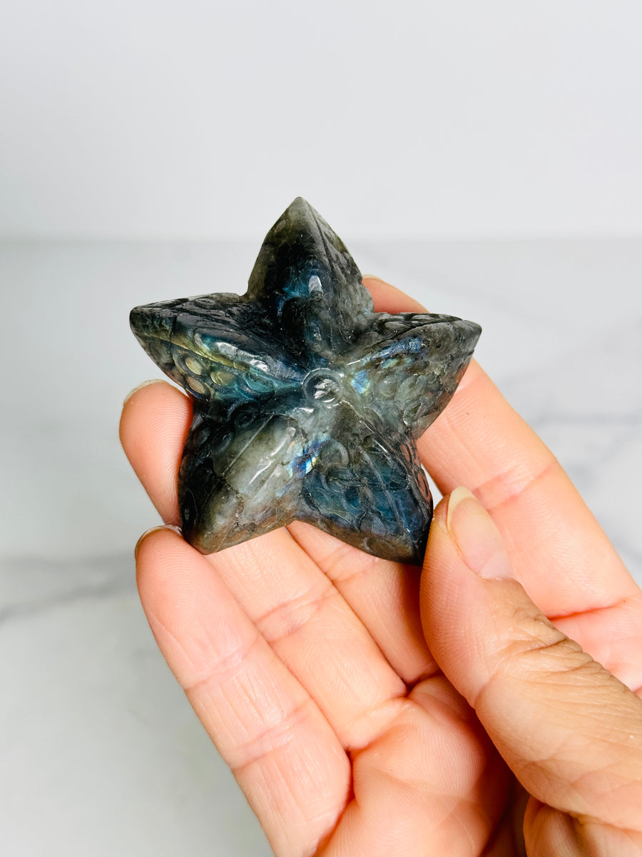 Labradorite Starfish Carving