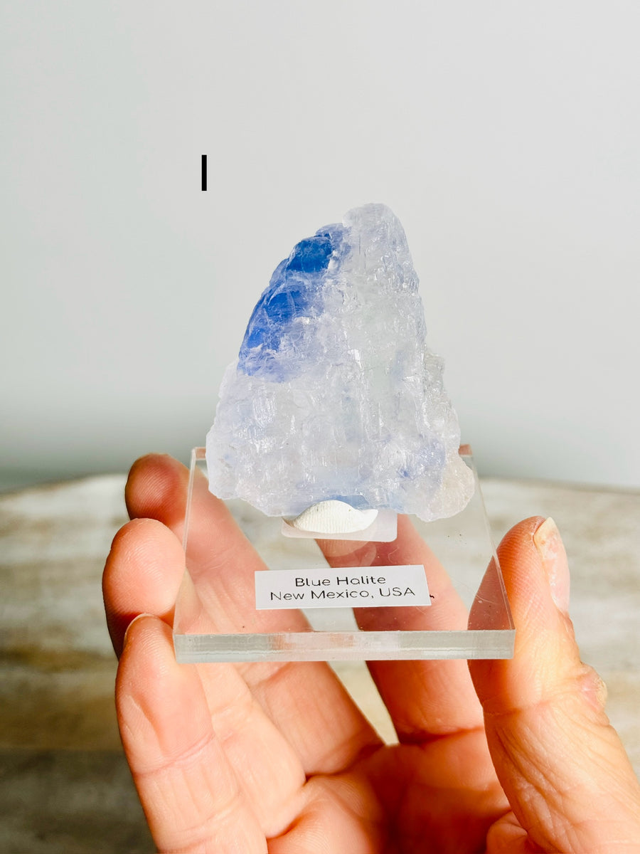 Blue Halite