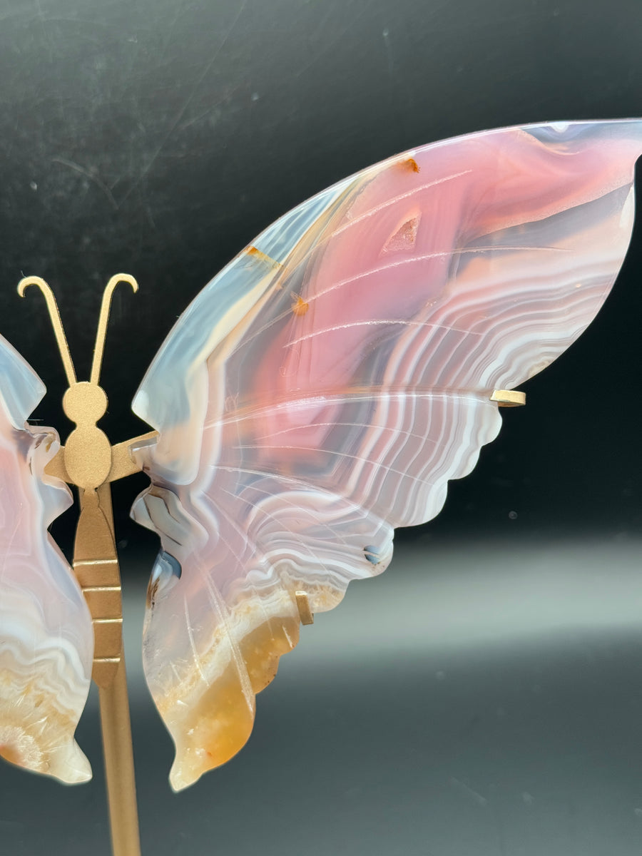 Pink Jelly Agate Butterfly Wing Carving on Custom Stand