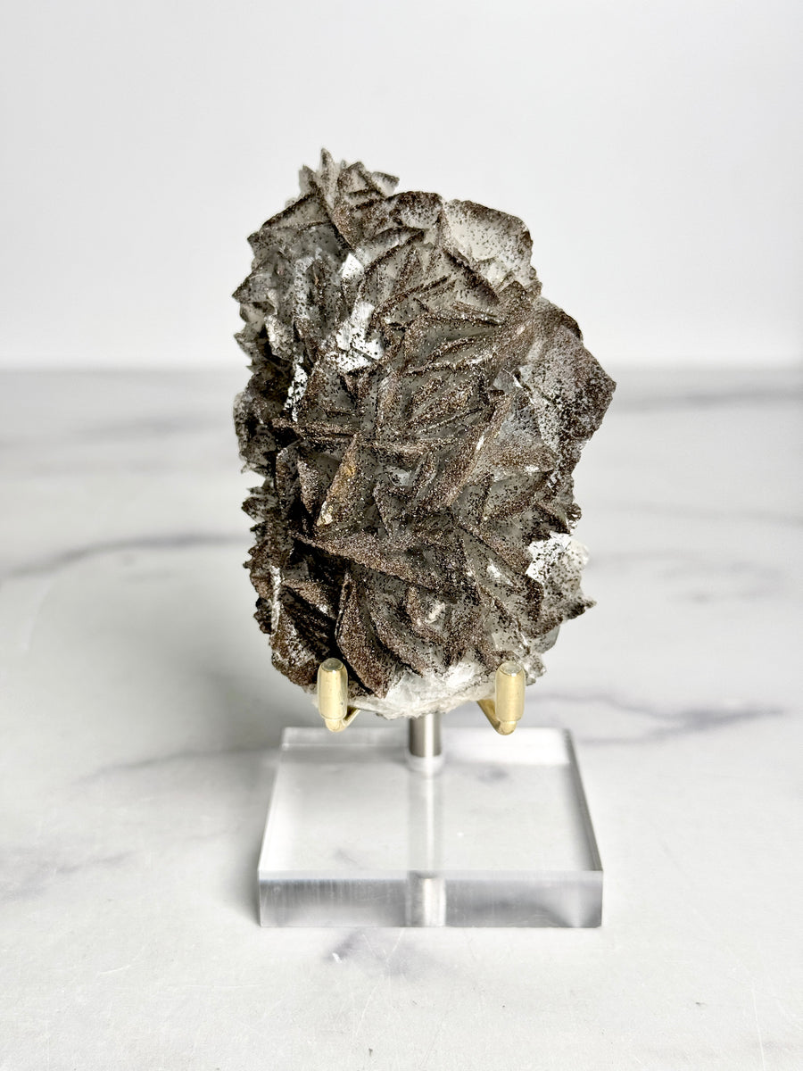 RARE - Black Rose Calcite with Goethite