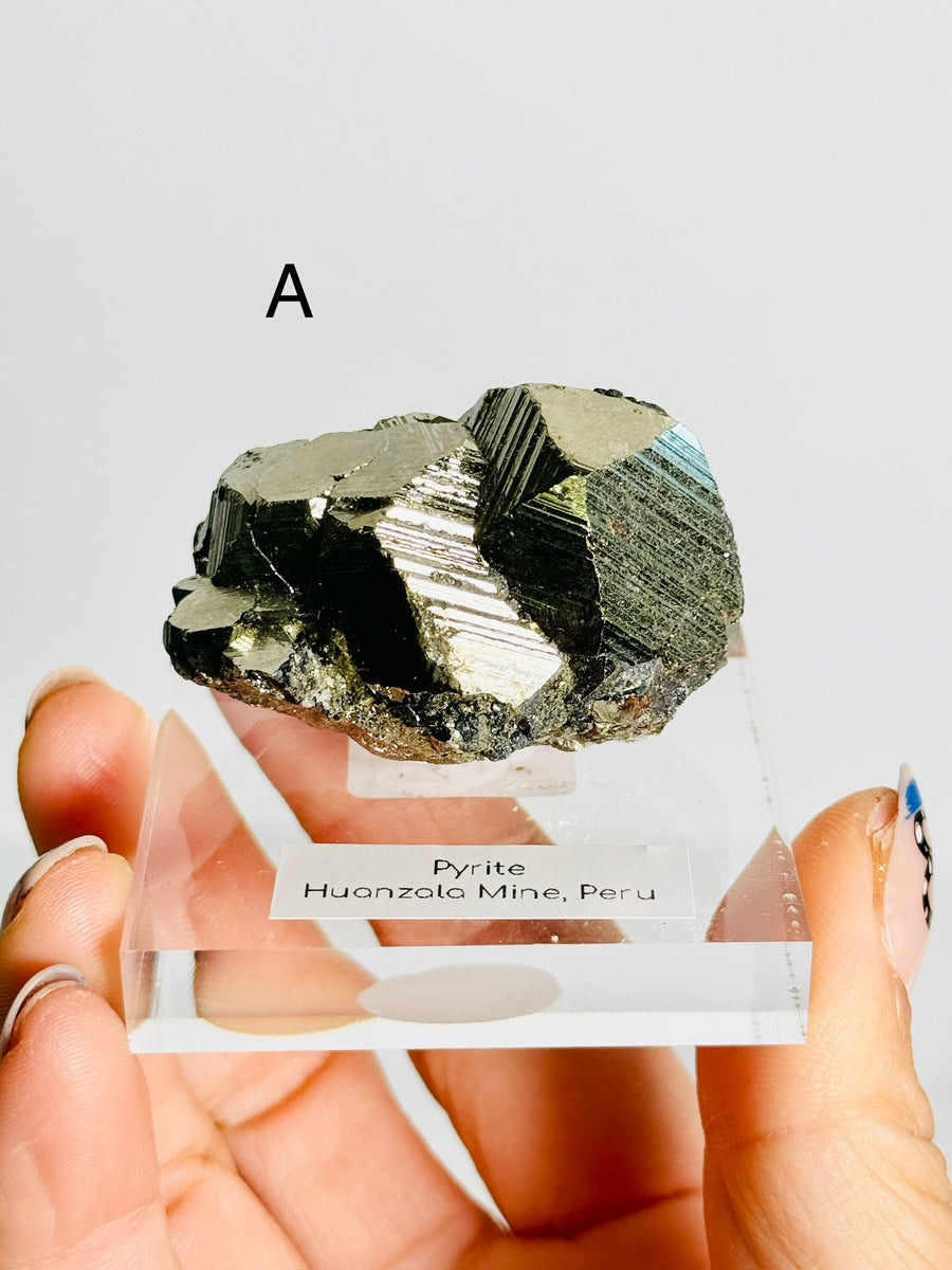 Pyrite with Galena from Peru