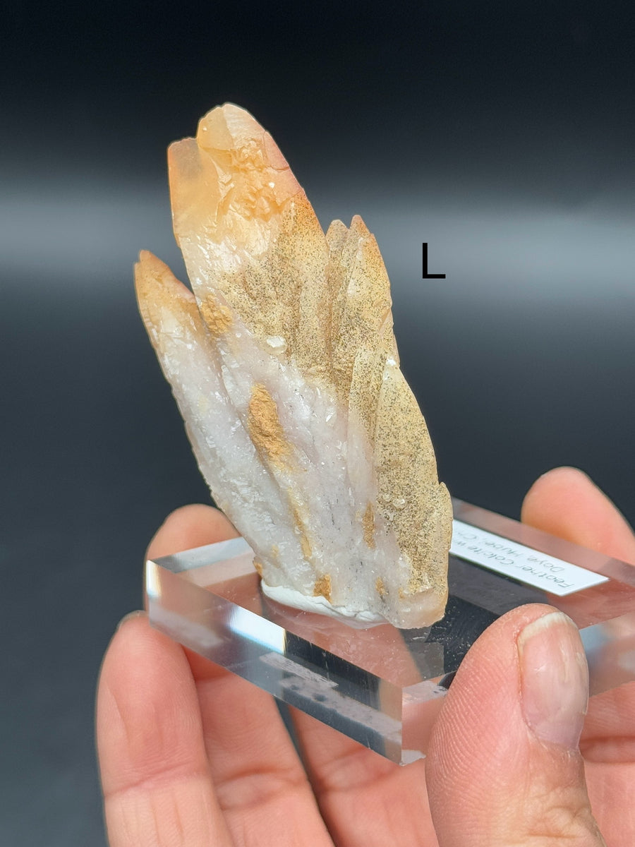 Feather Calcite with Pyrite