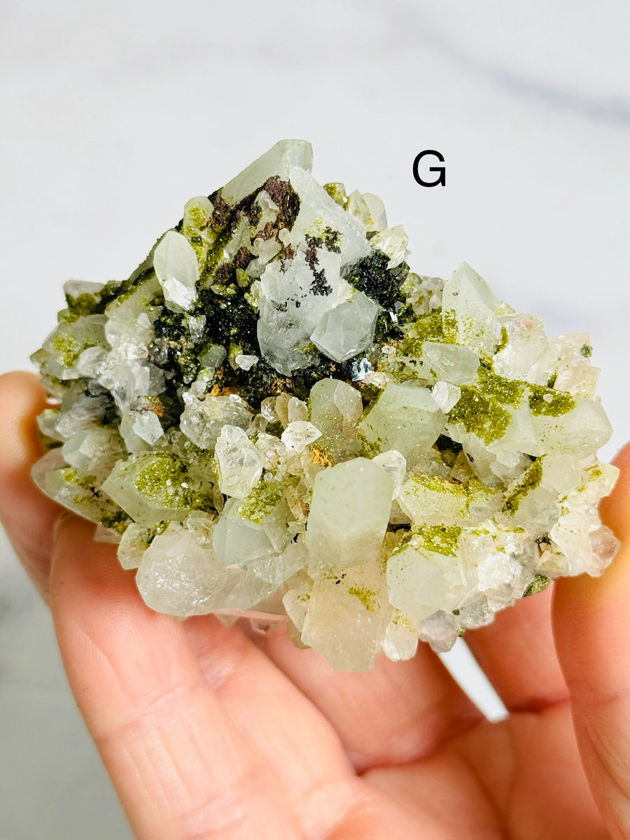 Forest Epidote with Quartz Clusters