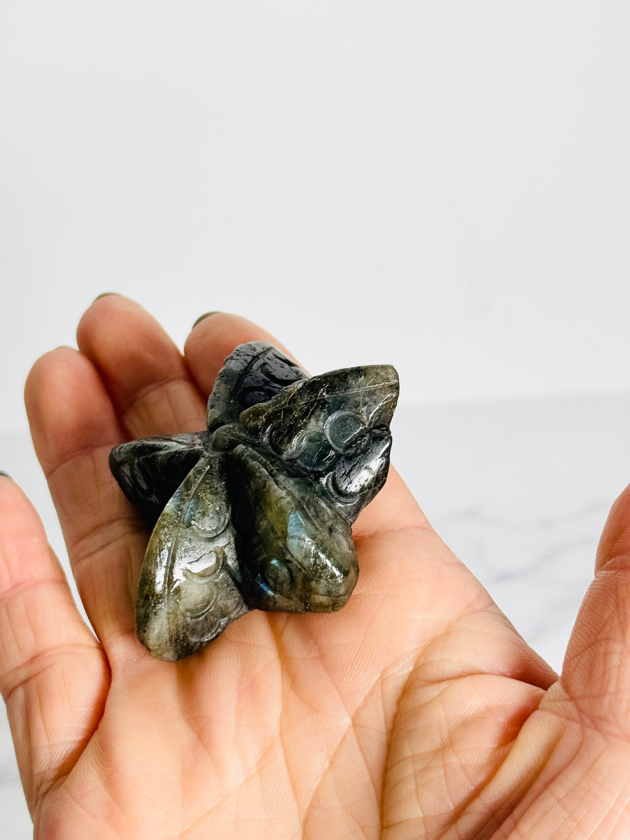 IMPERFECT Labradorite Starfish Carving