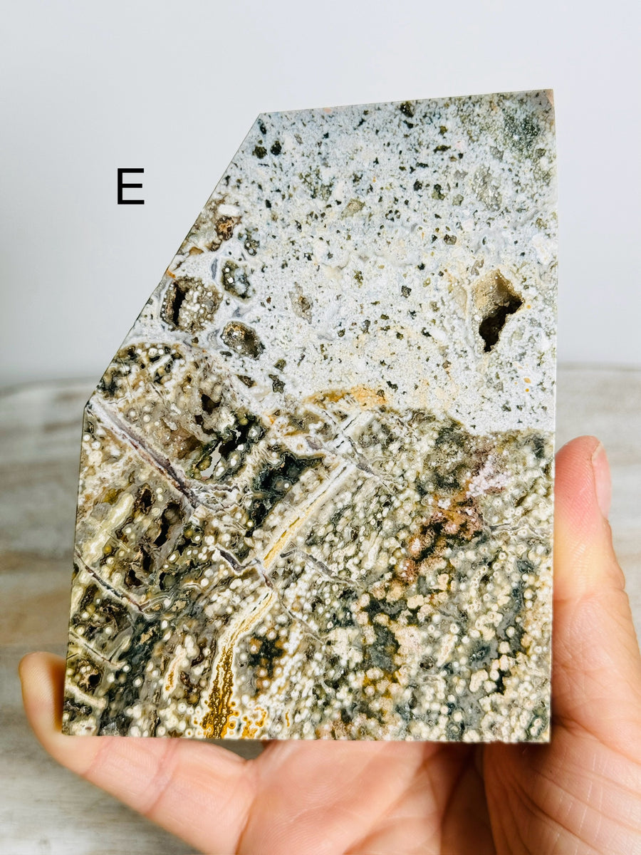 Ocean Jasper Slab