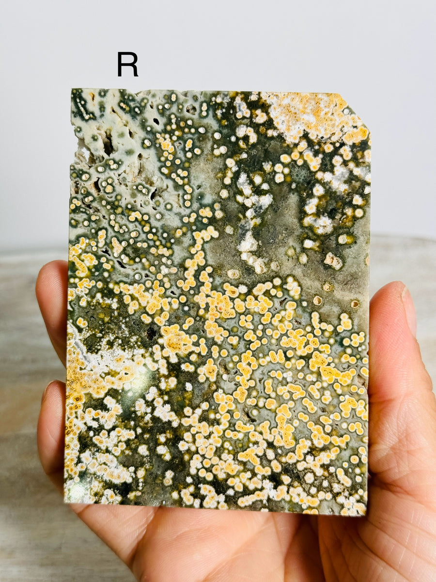 Ocean Jasper Slab