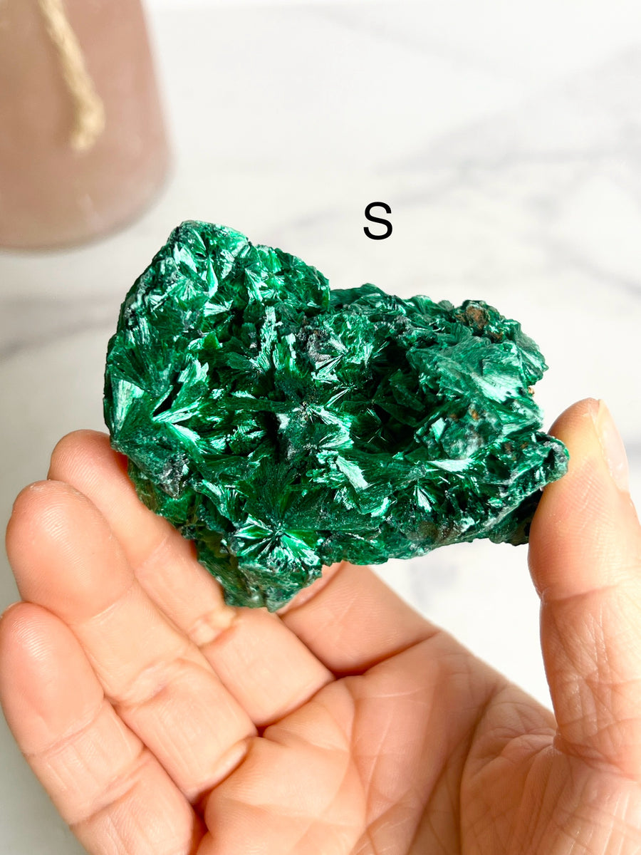 Velvet Malachite Cluster