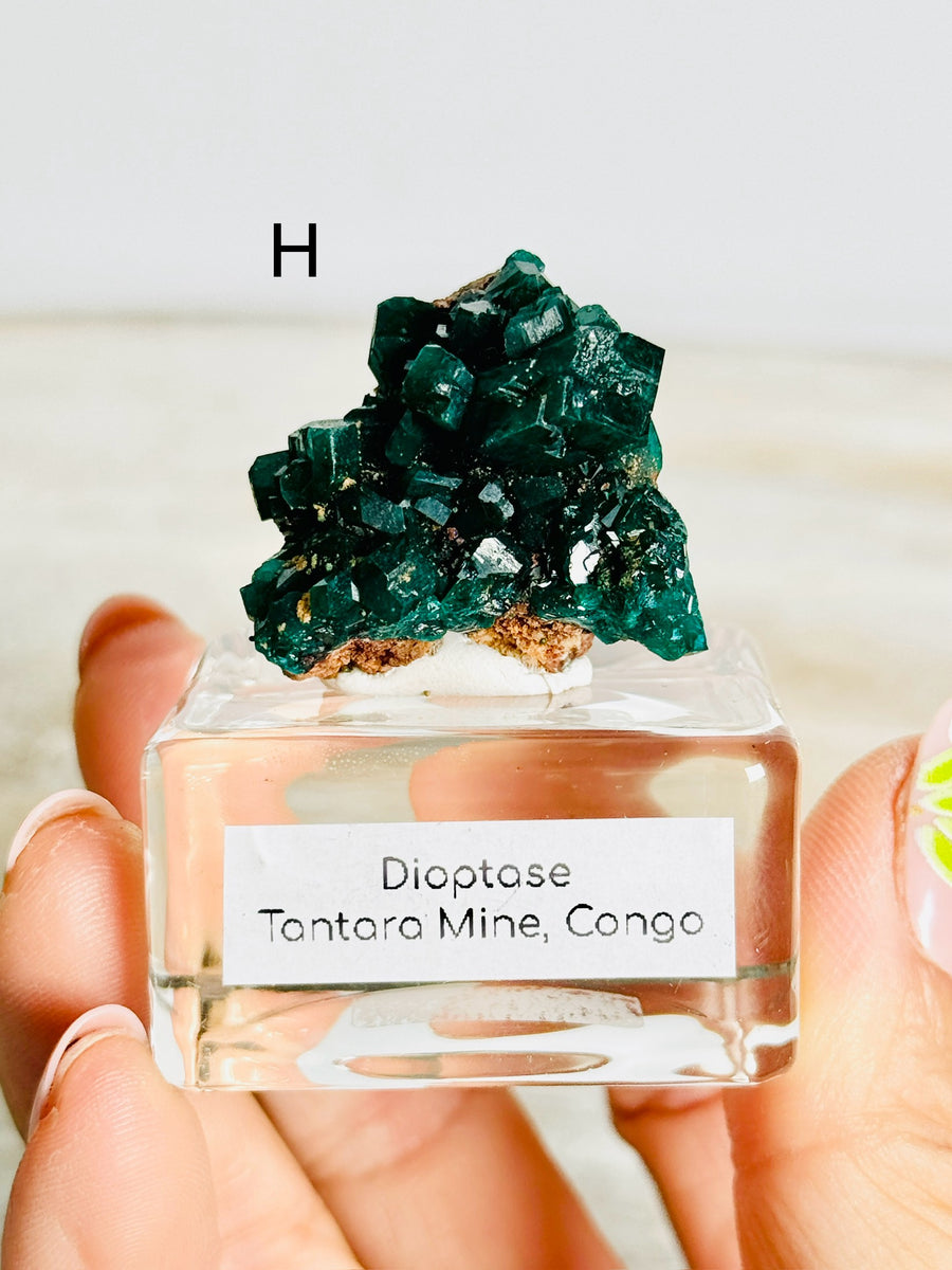 Dioptase from Congo