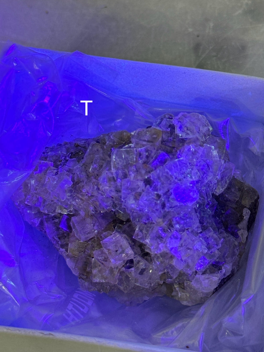 Moscona Fluorite