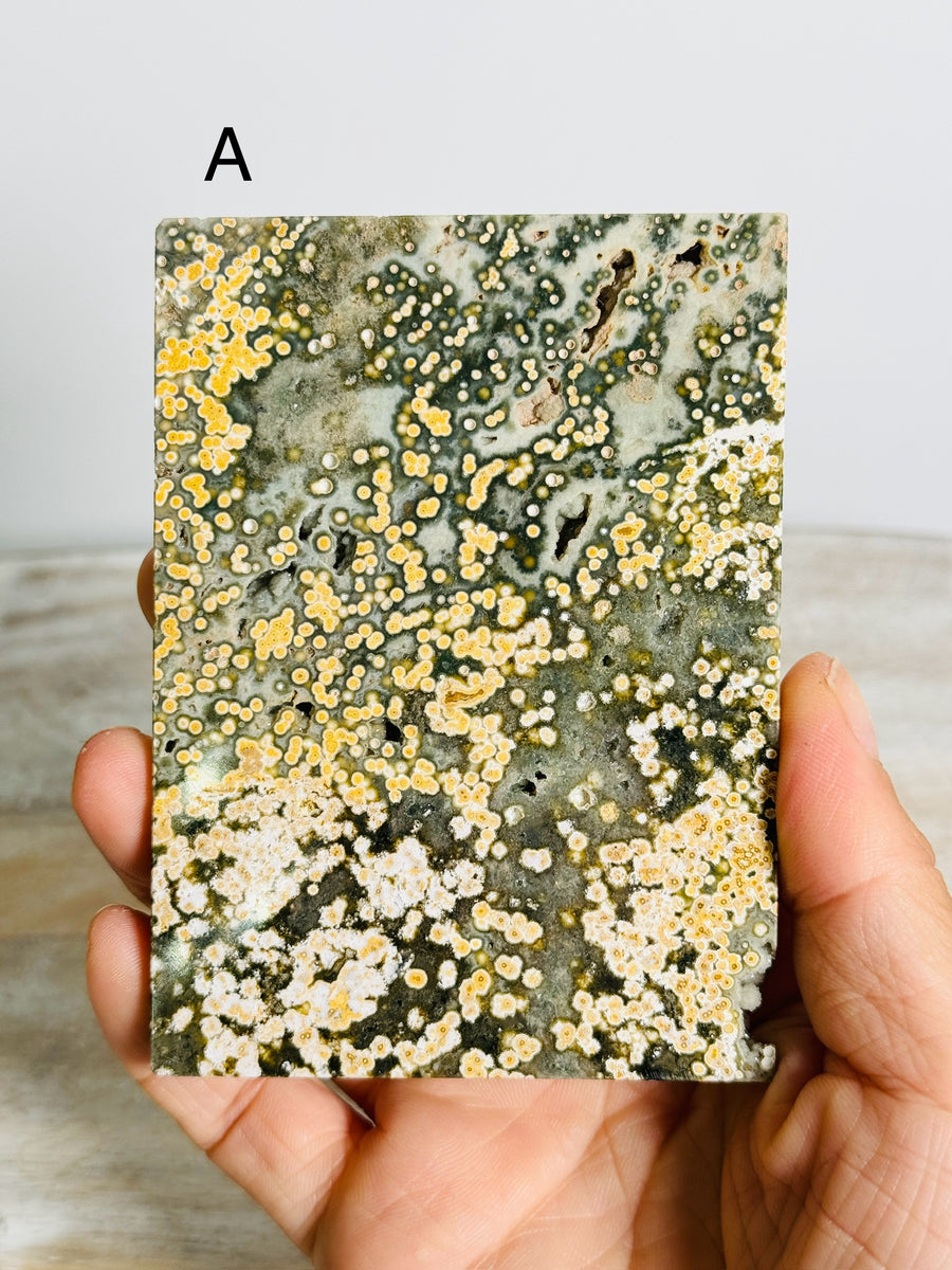 Ocean Jasper Slab