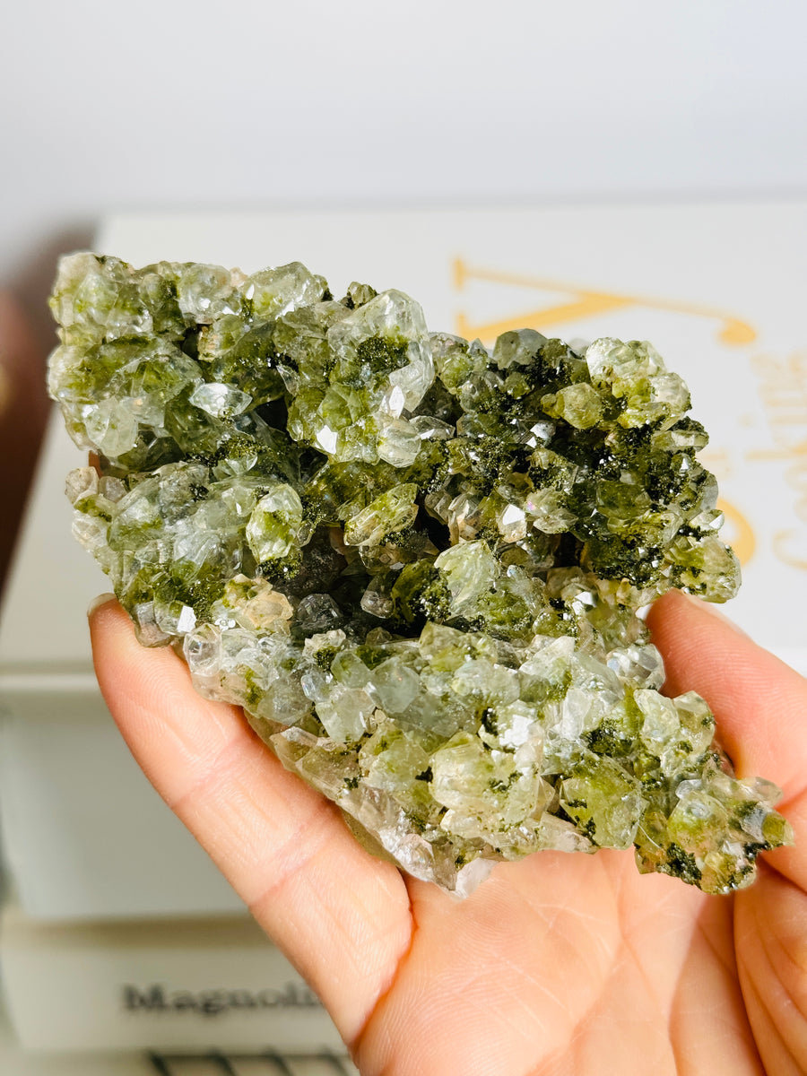 Forest Epidote with Quartz Cluster