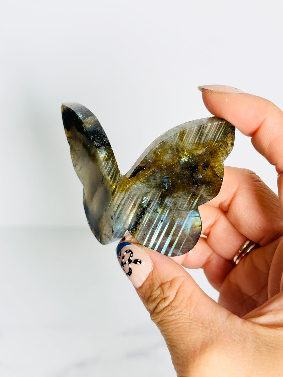 IMPERFECT Labradorite 3D Butterfly Carving