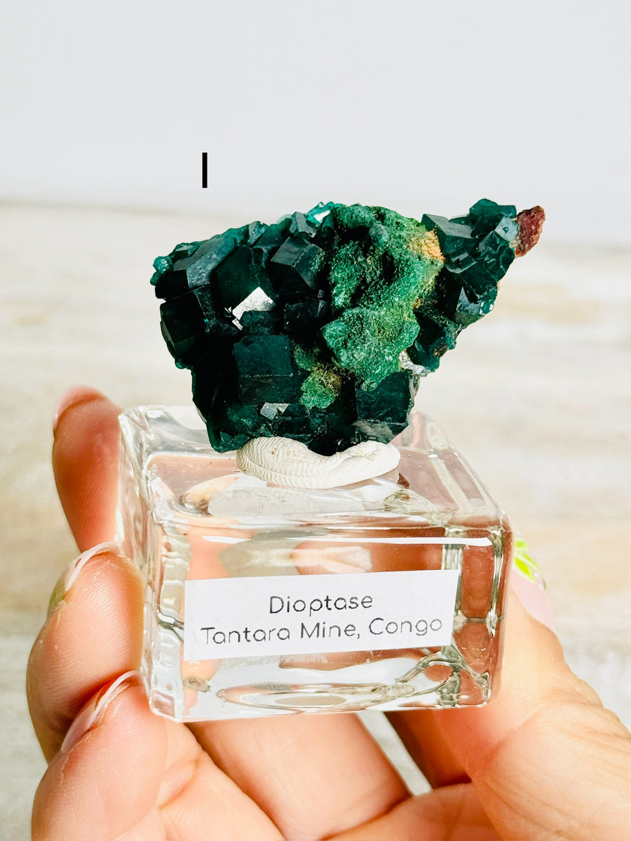 Dioptase from Congo