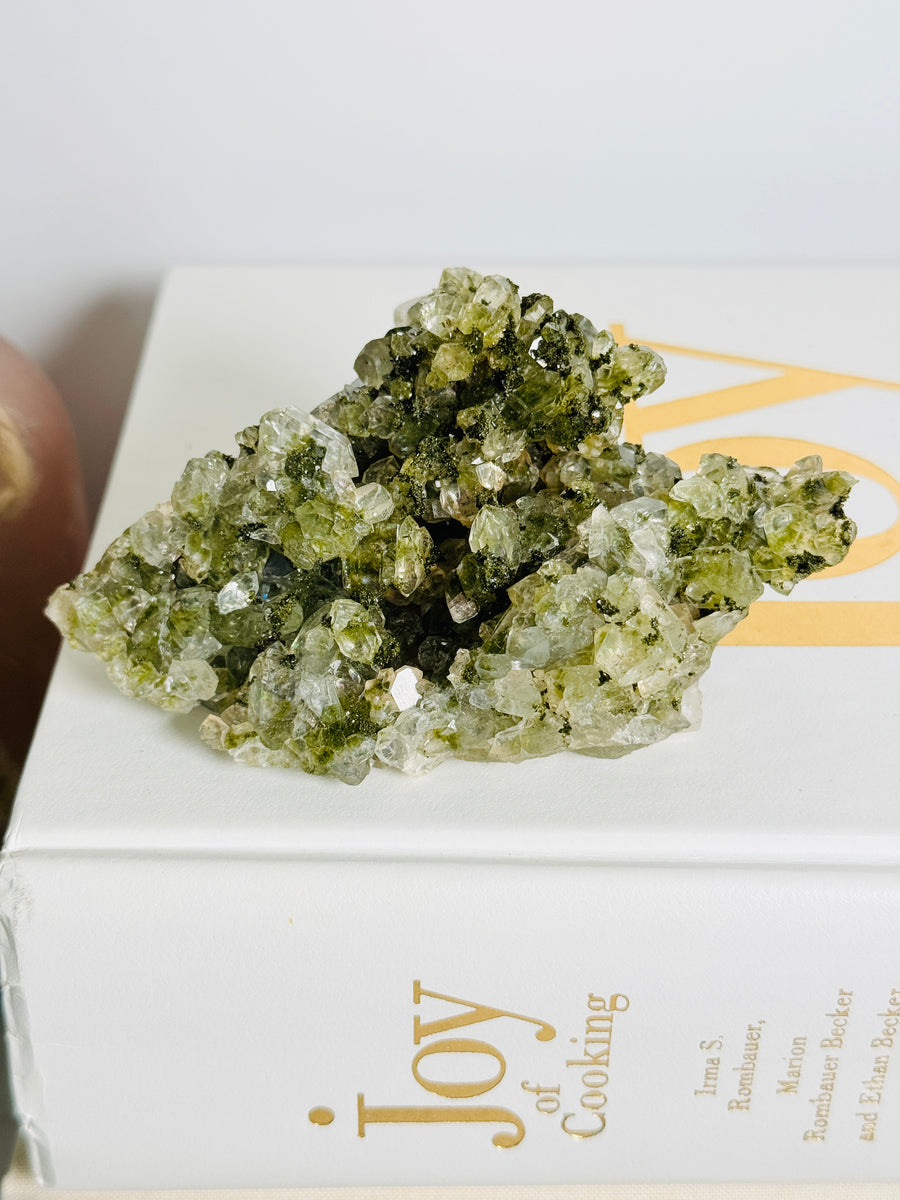 Forest Epidote with Quartz Cluster