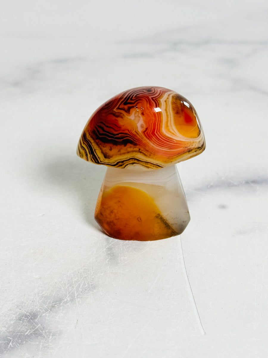 IMPERFECT: Sardonyx Mushroom