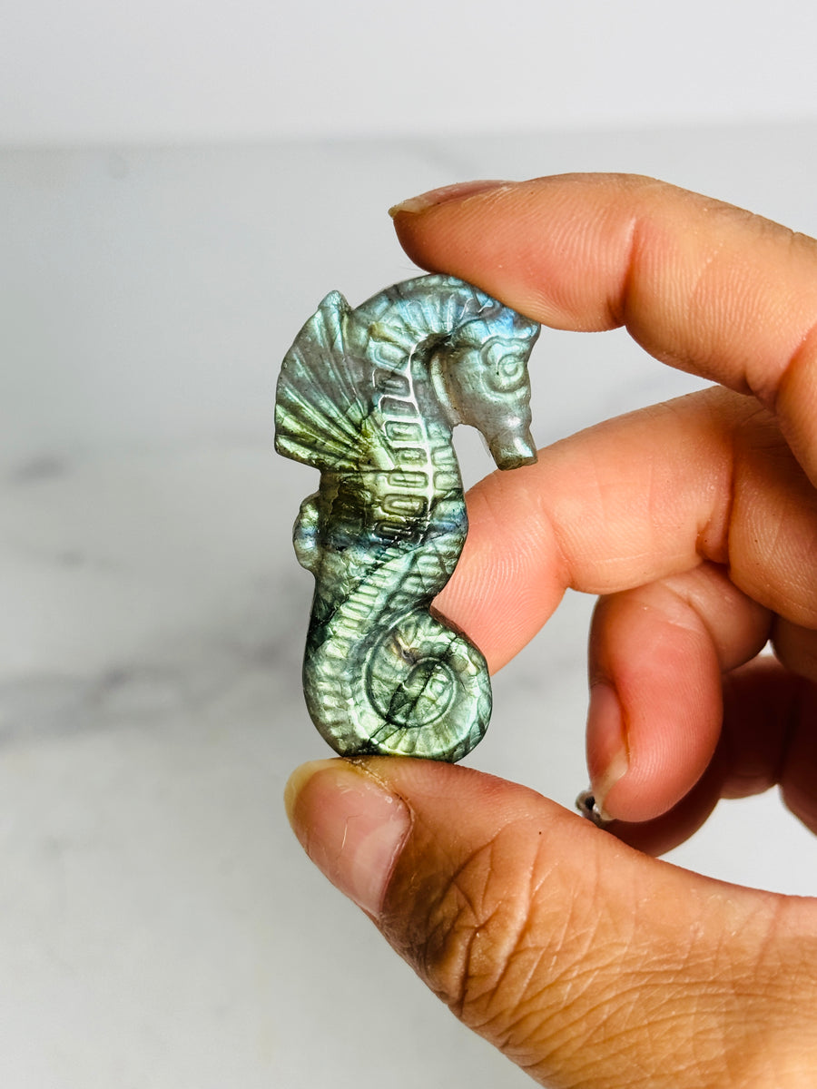 Labradorite Seahorse Carving