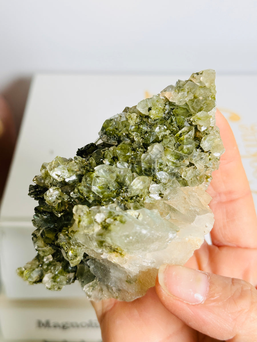 Forest Epidote with Quartz Cluster