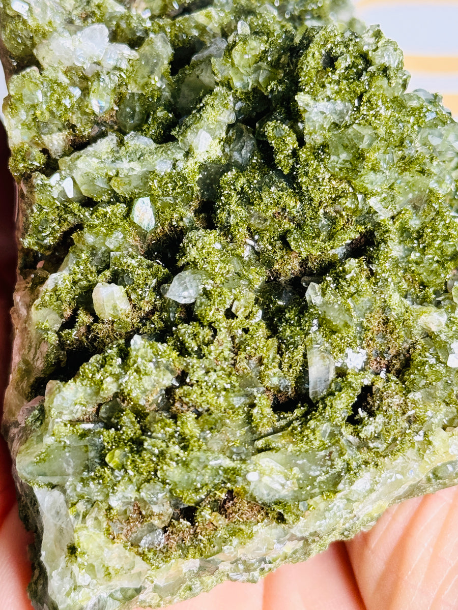 Forest Epidote with Quartz Cluster