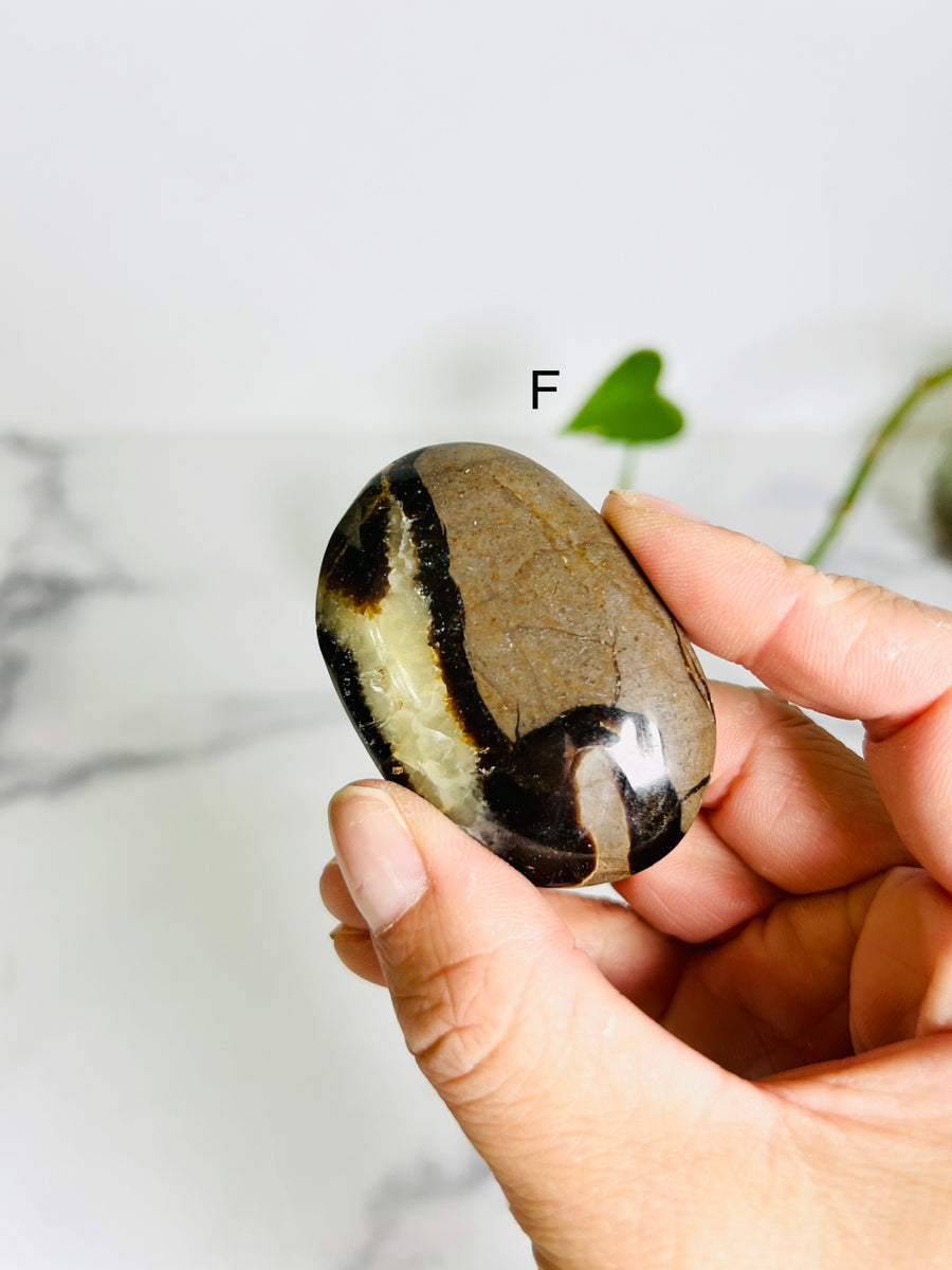 Septarian Jasper Palm Stone