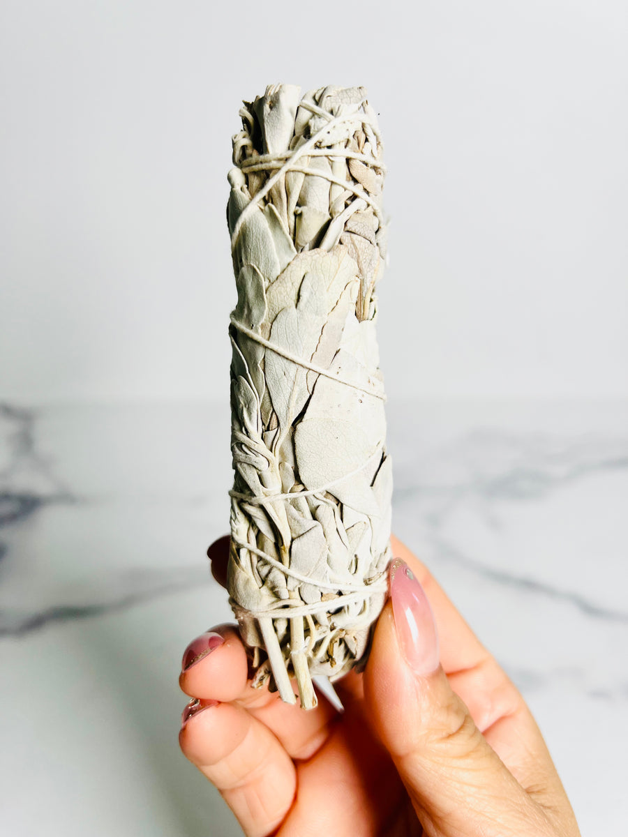 Organic White Sage Bundle