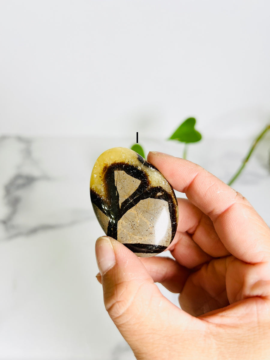 Septarian Jasper Palm Stone