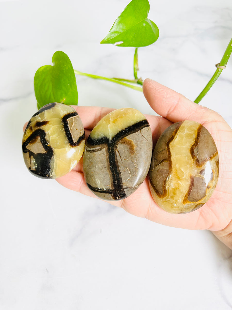 Septarian Jasper Palm Stone