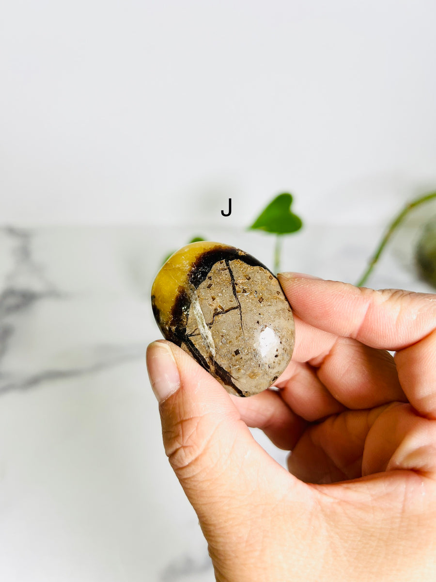 Septarian Jasper Palm Stone