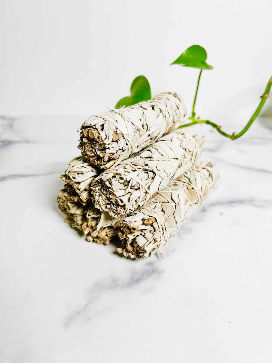 Organic White Sage Bundle