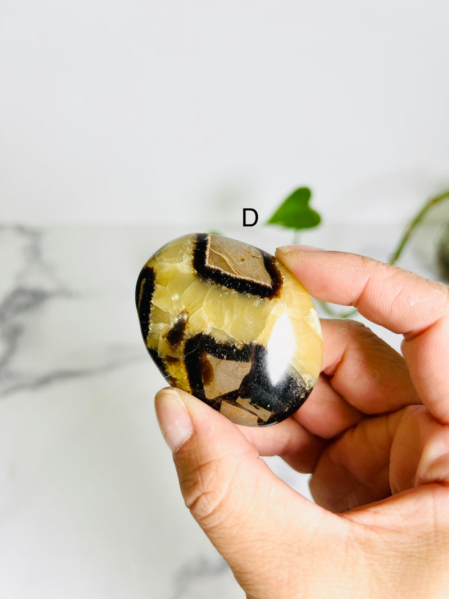 Septarian Jasper Palm Stone