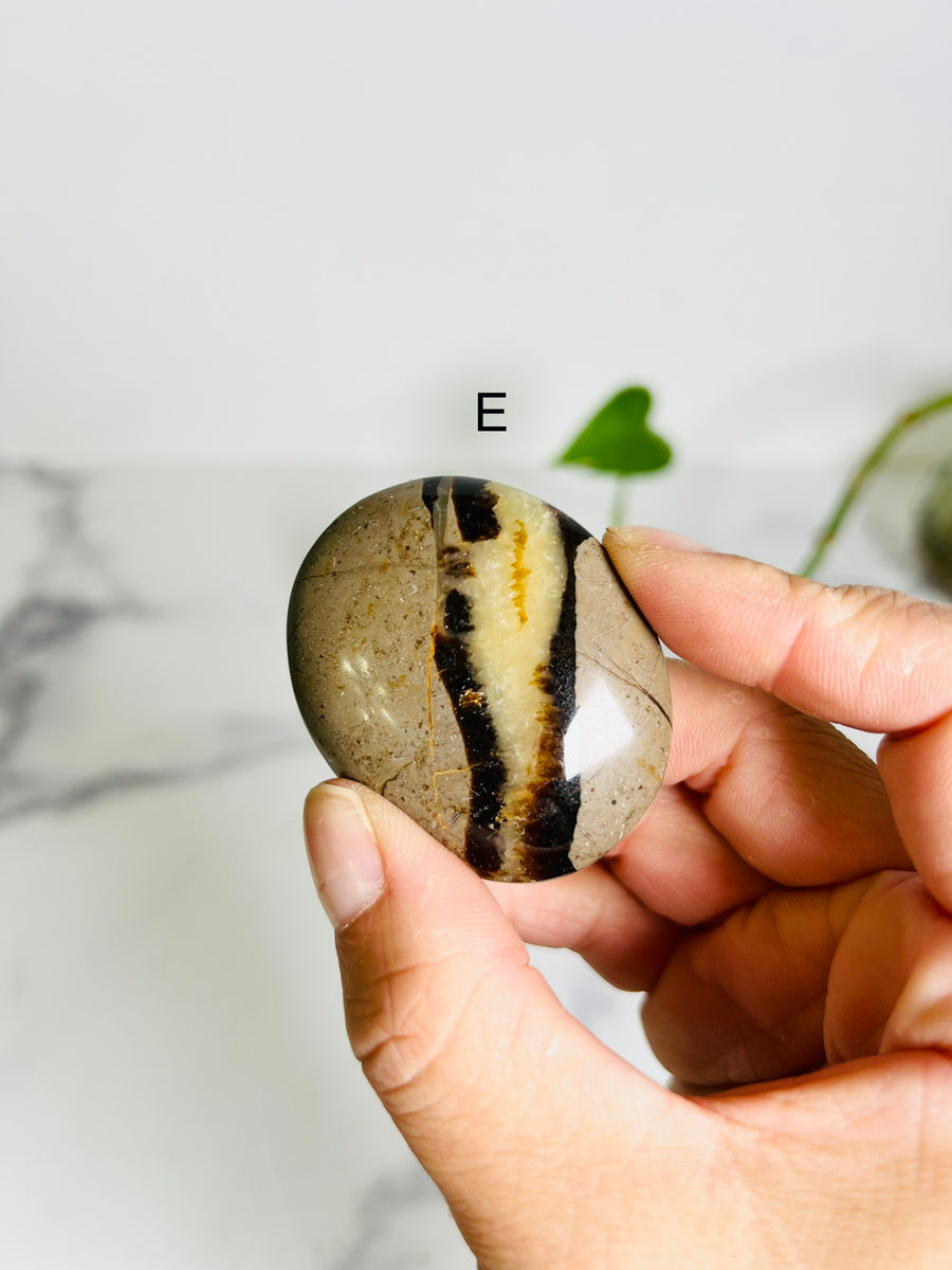 Septarian Jasper Palm Stone