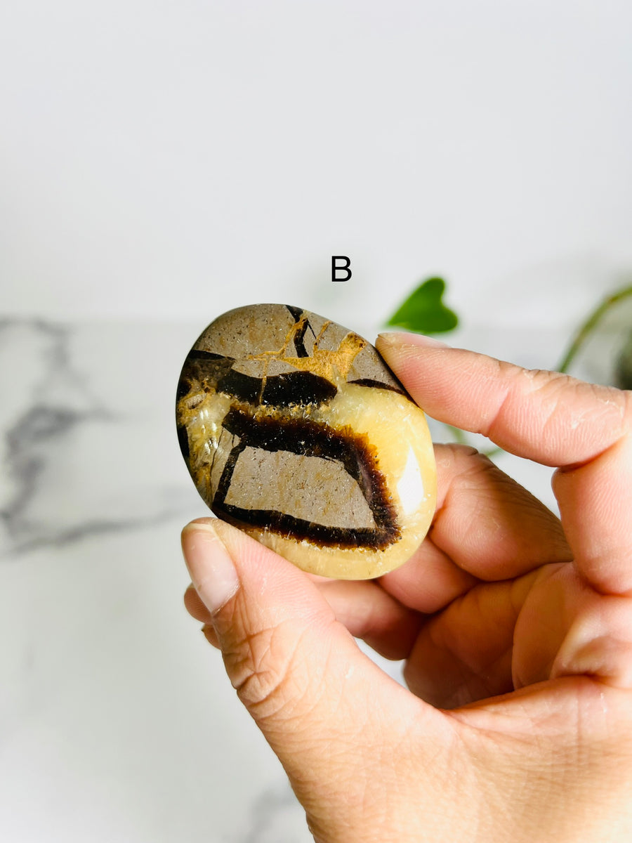 Septarian Jasper Palm Stone