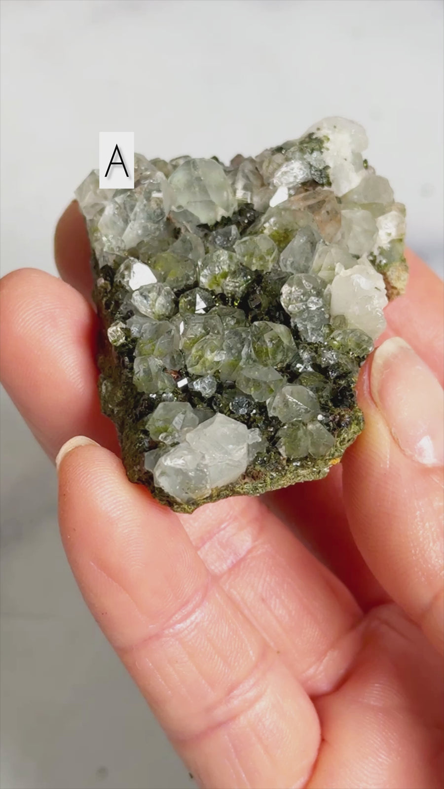 Forest Epidote with Quartz Clusters