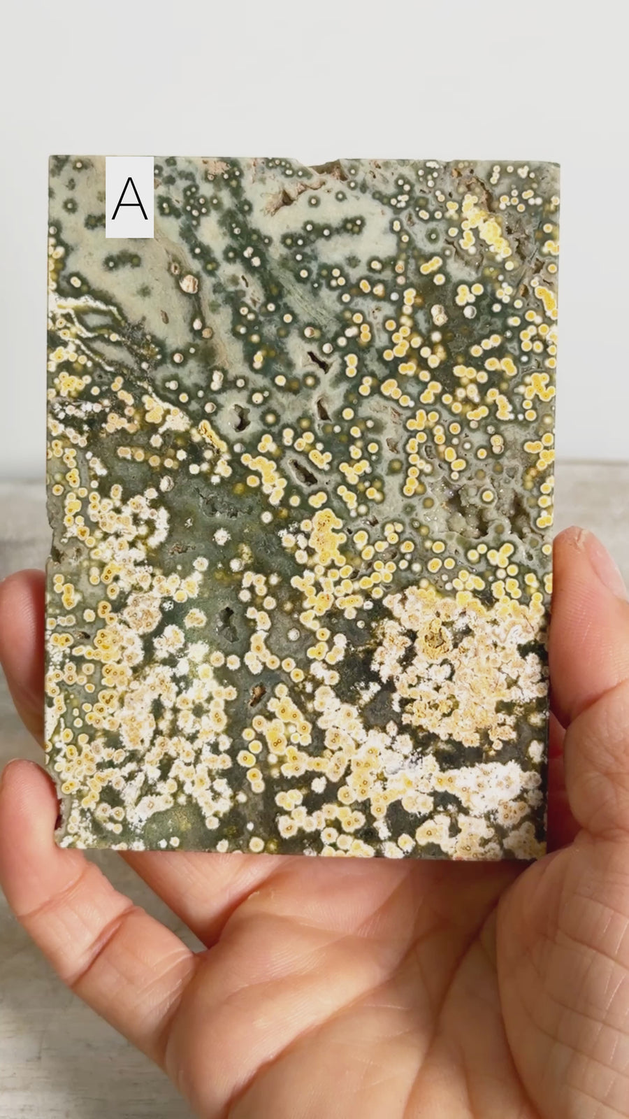 Ocean Jasper Slab