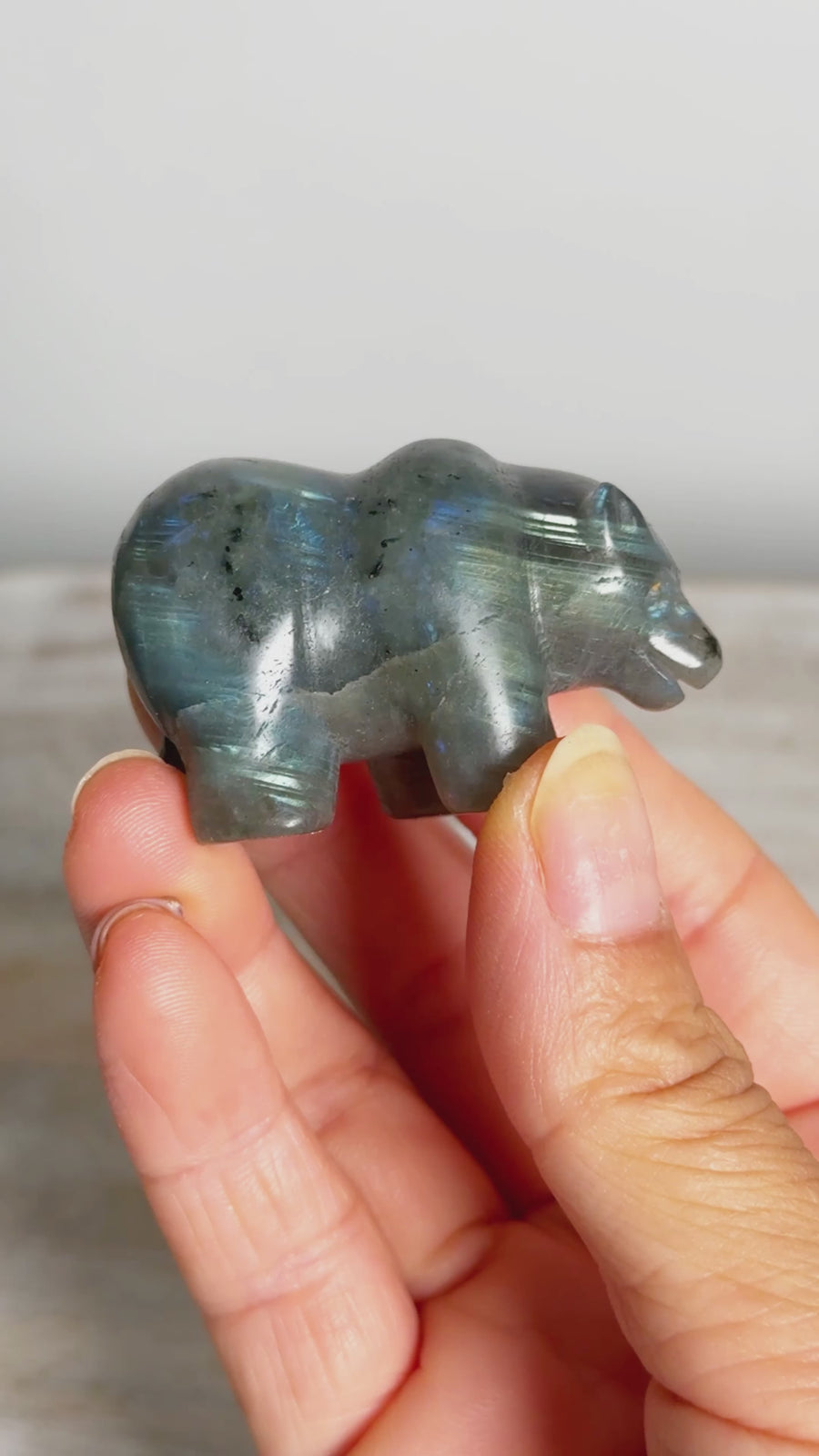 Labradorite Bear Carving