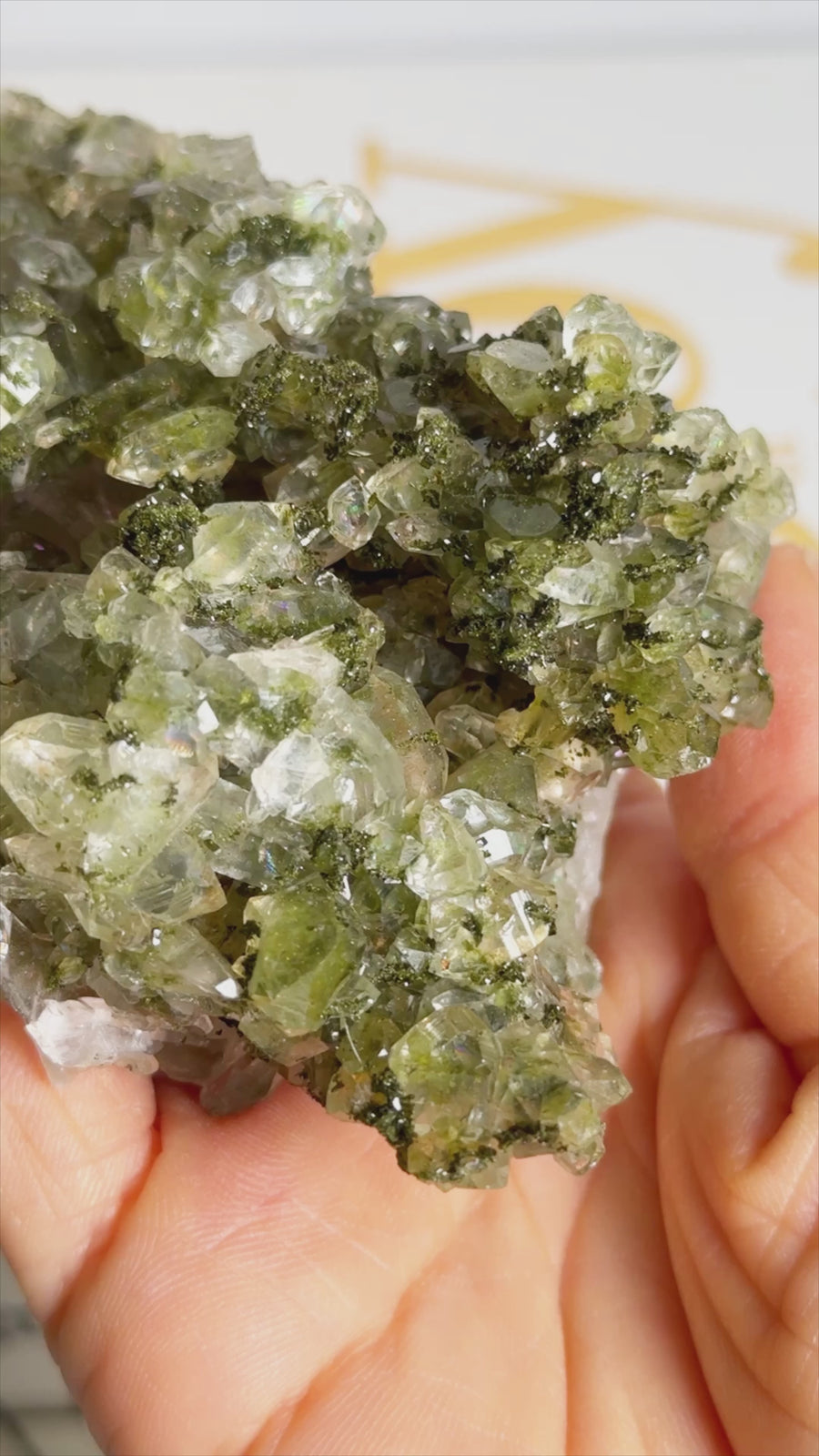 Forest Epidote with Quartz Cluster