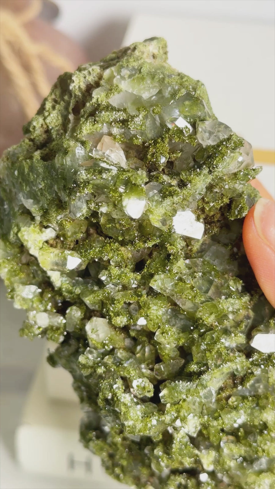 Forest Epidote with Quartz Cluster